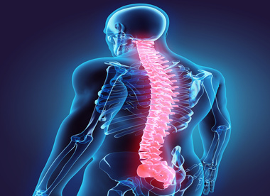 Chicago Chiropractic. 4 Ways The Spine Influences Your Overall Health